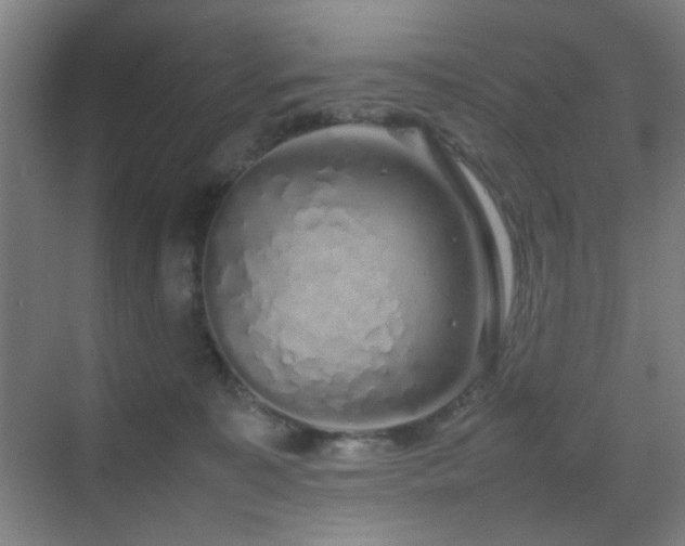 X0000070210323200605261258