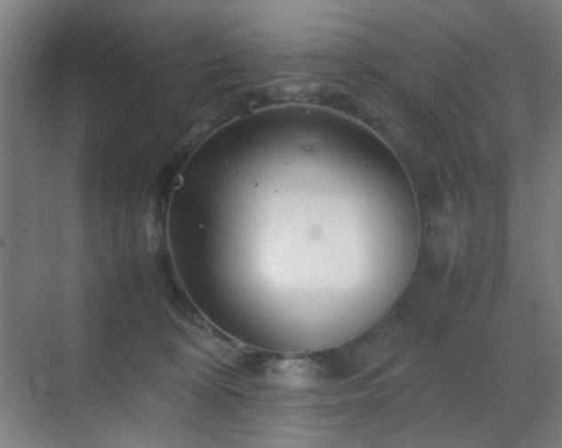 X0000070210324200605261258