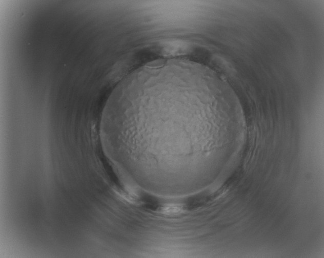 X0000070210327200605261258