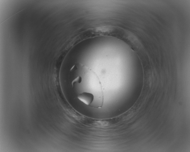 X0000070210328200605261258