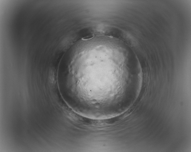 X0000070210331200605261258