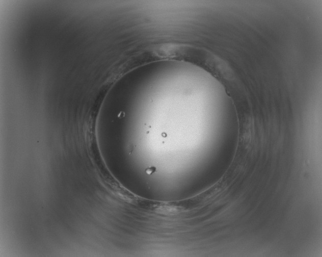 X0000070210332200605261258