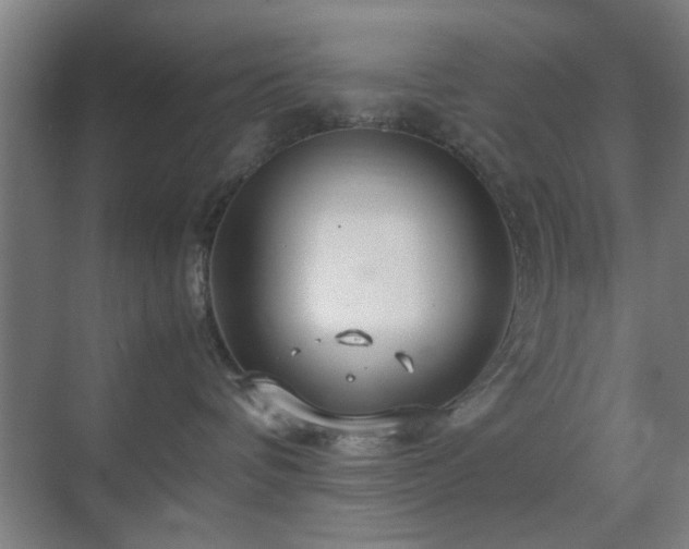 X0000070210336200605261258