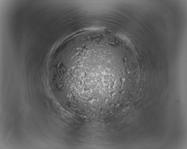 X0000070210337200605261257