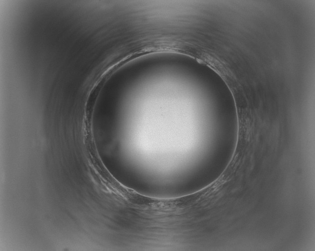 X0000070210338200605261257