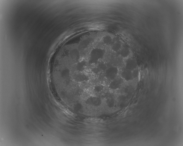 X0000070210339200605261257