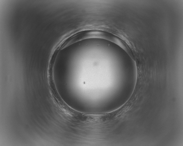 X0000070210340200605261257