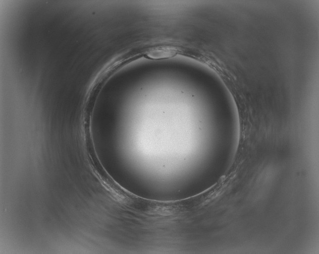 X0000070210341200605261258