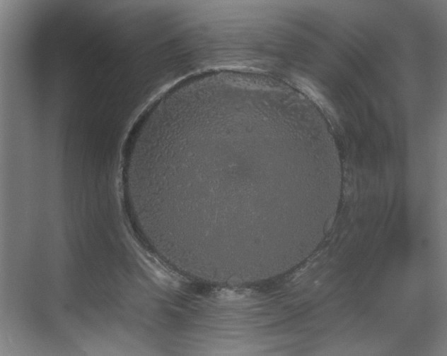 X0000070210346200605261258