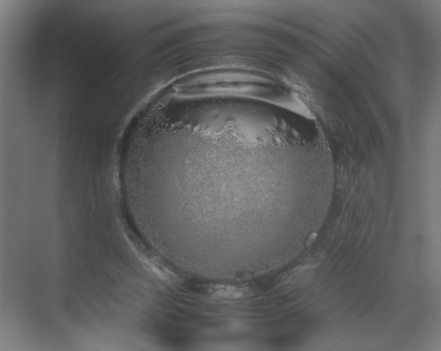 X0000070210347200605261258