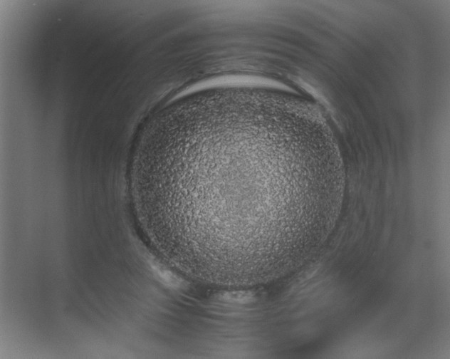 X0000070210353200605261258