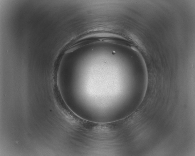 X0000070210354200605261258