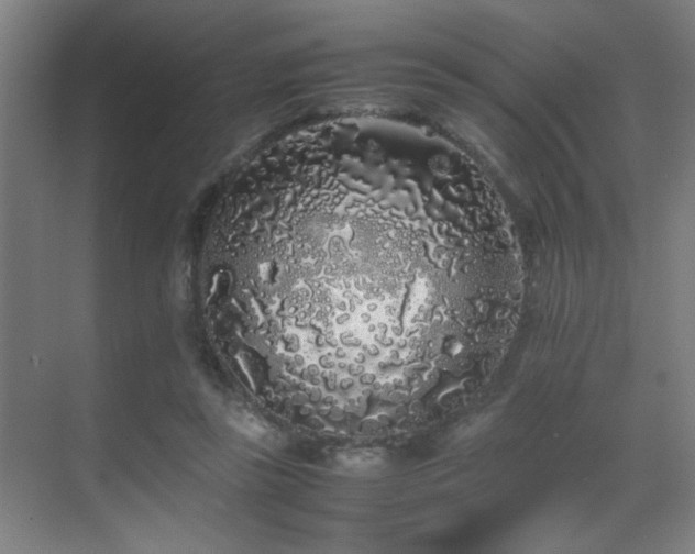 X0000070210355200605261258