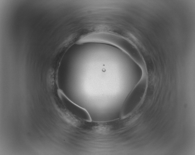 X0000070210356200605261258