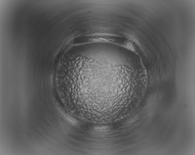 X0000070210357200605261258