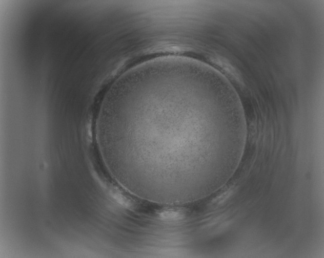 X0000070210358200605261258