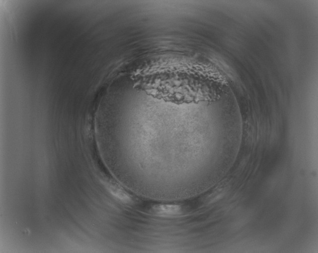 X0000070210361200605261258