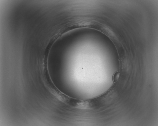 X0000070210362200605261258