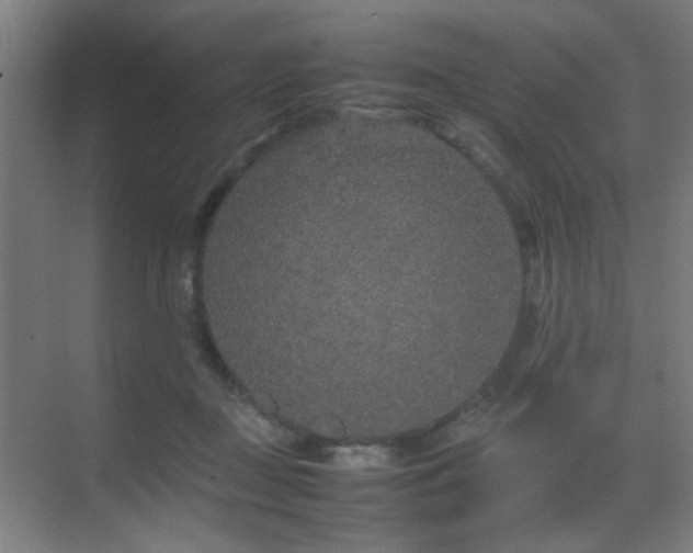 X0000070210363200605261258