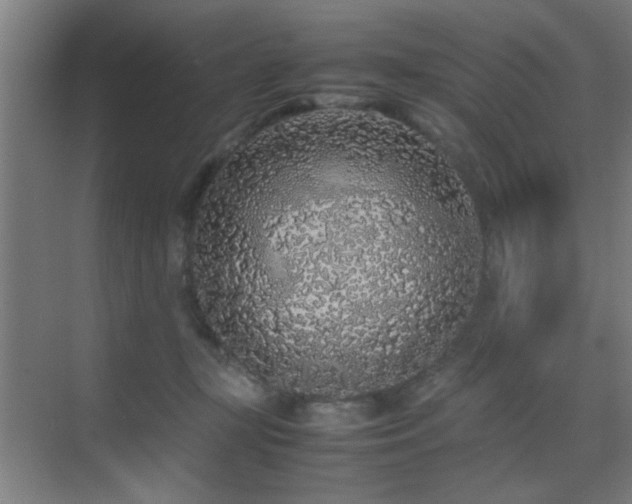 X0000070210367200605261258