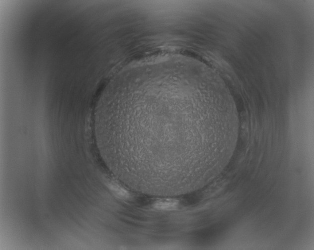 X0000070210369200605261258