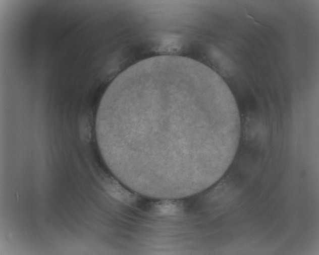 X0000070210370200605261258