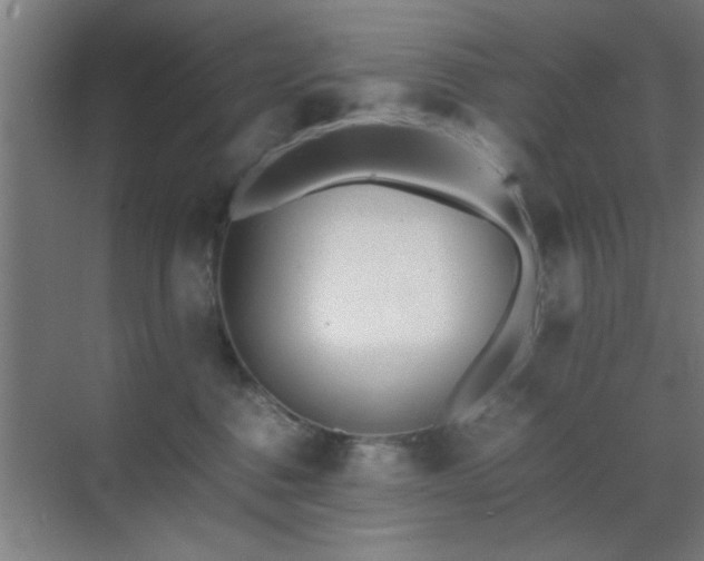 X0000070210376200605261258