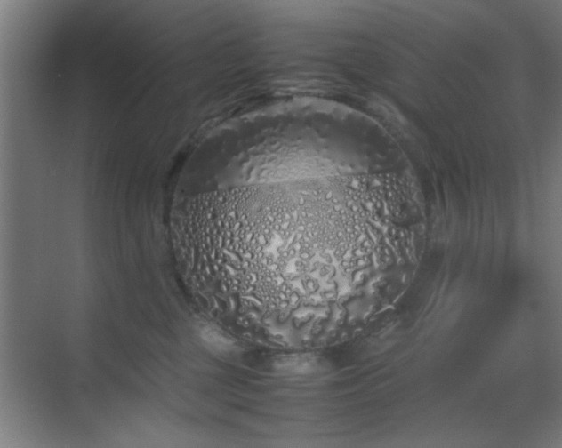 X0000070210377200605261258