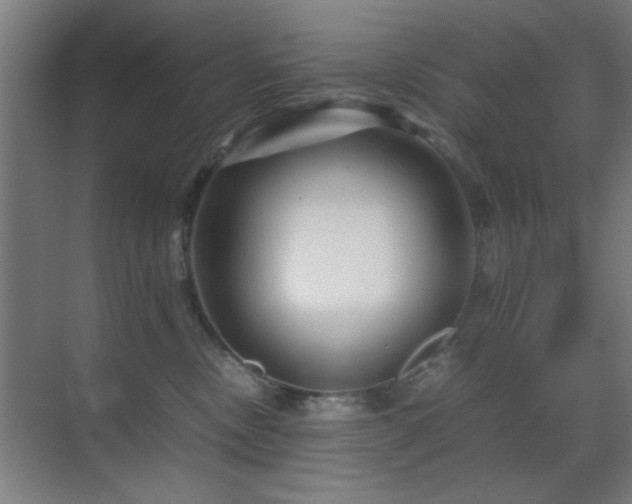 X0000070210378200605261258