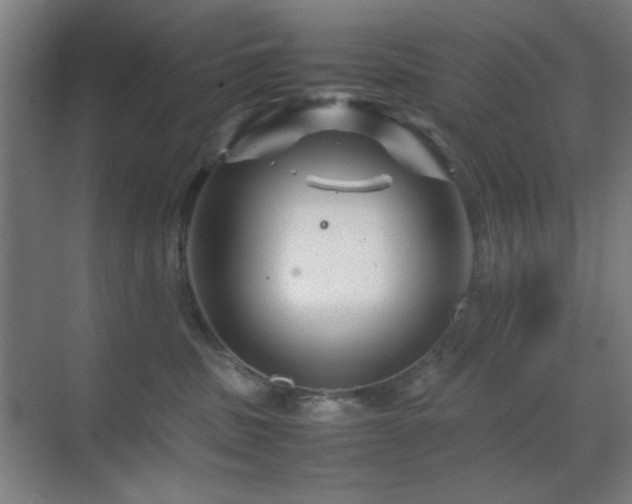 X0000070210379200605261258