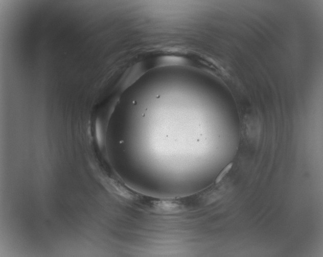 X0000070210380200605261258