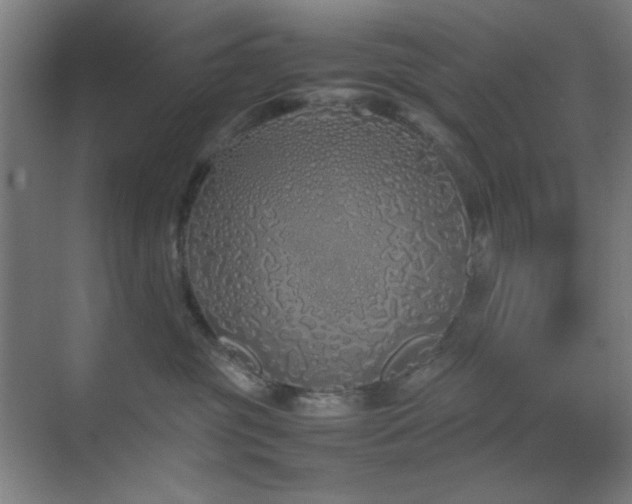 X0000070210381200605261258