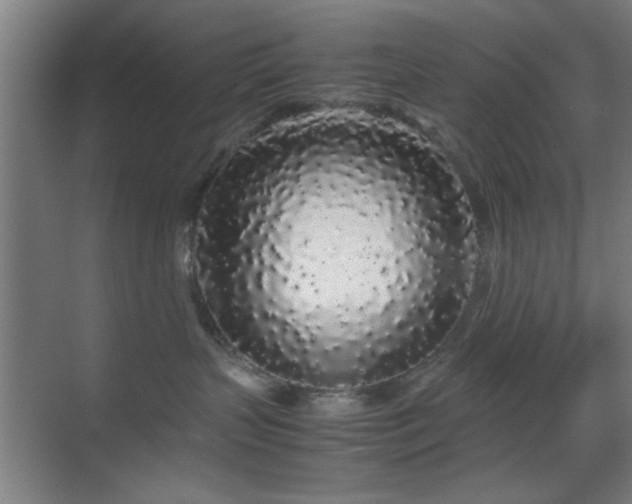 X0000070210383200605261258