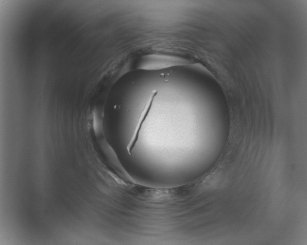 X0000070210384200605261258