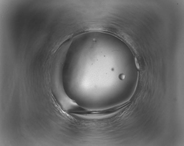 X0000070210385200605261257