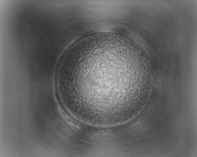 X0000070210386200605261257