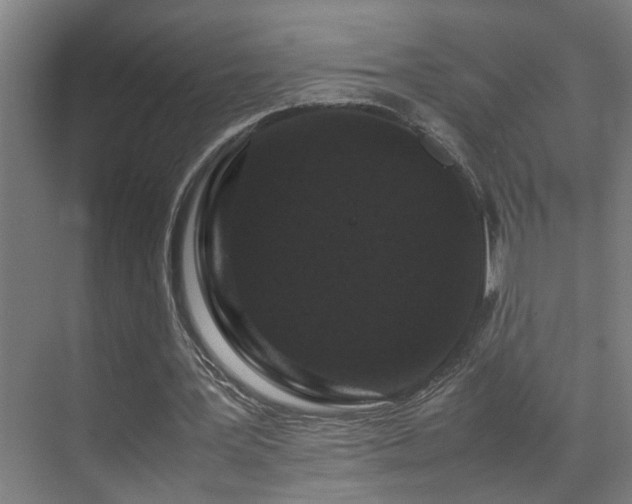 X0000070210387200605261257