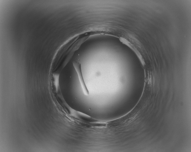 X0000070210388200605261257