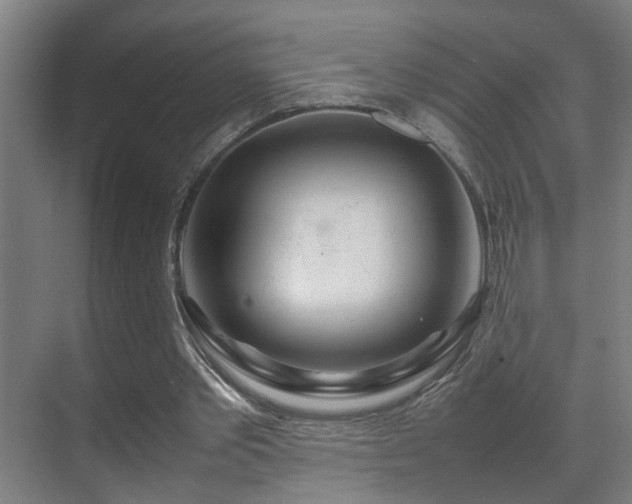 X0000070210389200605261257