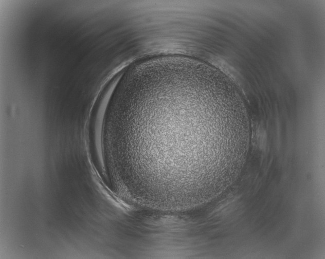 X0000070210390200605261257