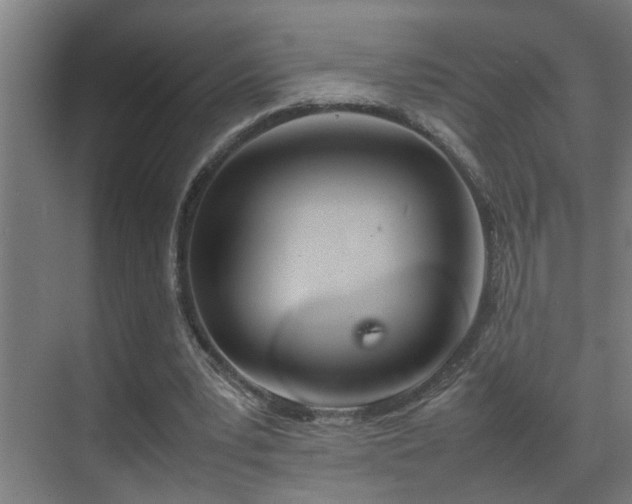 X0000070210391200605261257