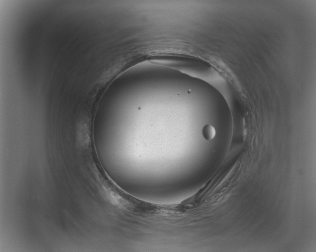 X0000070210393200605261257