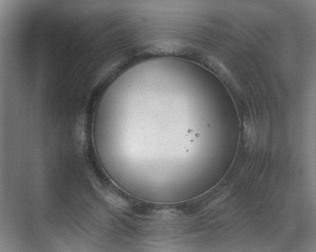 X0000070210396200605261257