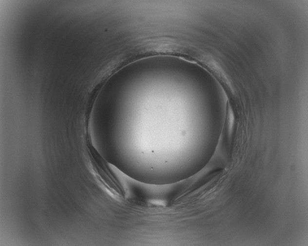 X0000070210397200605261257