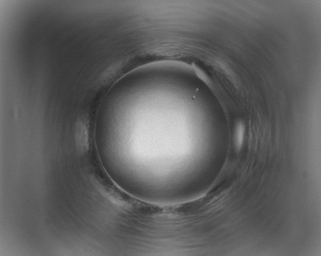 X0000070210404200605261257