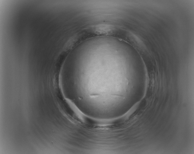 X0000070210408200605261257