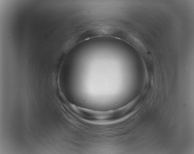 X0000070210409200605261257