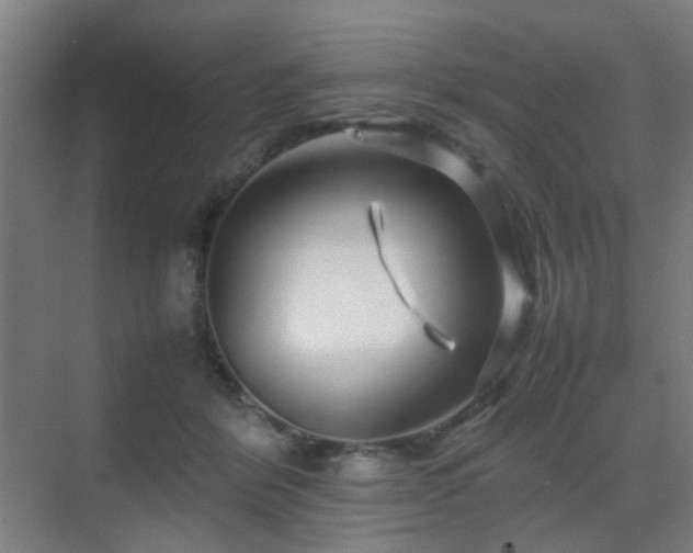 X0000070210412200605261257