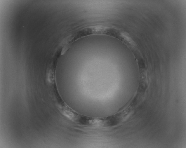 X0000070210419200605261257