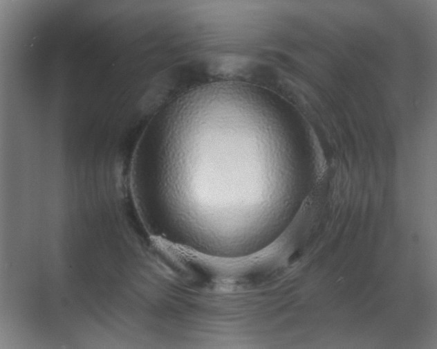 X0000070210420200605261257